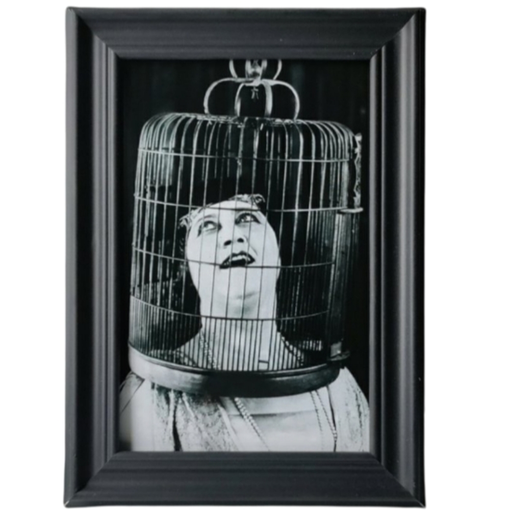 Vintage woman with birdcage retro Victorian weird oddity Funny Fun Art 1900s